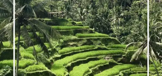 Find out why Pura Gunung Kawi Temple is my favourite sanctuary in Bali and everything you need to know about visiting. You will find information on where in Tampaksiring (near Ubud) to find Pura Gunung Kawi, the entrance fee, Bali temples dress code, opening hours, and the highly intriguing legend to this site. Things to do in Bali #Bali Sites to visit near Ubud #ubud #temple #gunungkawi