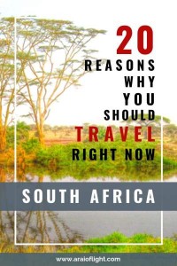 20 Reasons To Visit South Africa in 2023 | Places to Travel in South Africa