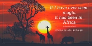 200+ African Quotes | African Proverbs | Inspired by Africa