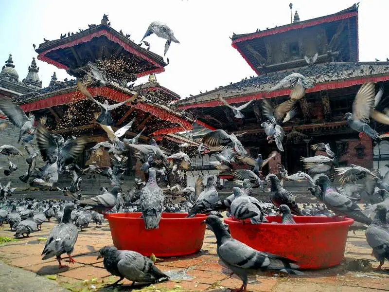 Kathmandu Nepal Durbar Square Best time to visit
