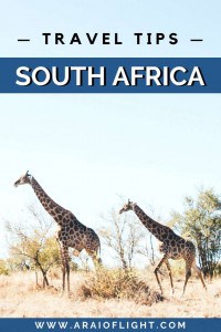 35 [Essential] South Africa Travel Tips for Your First Trip in 2024 ...