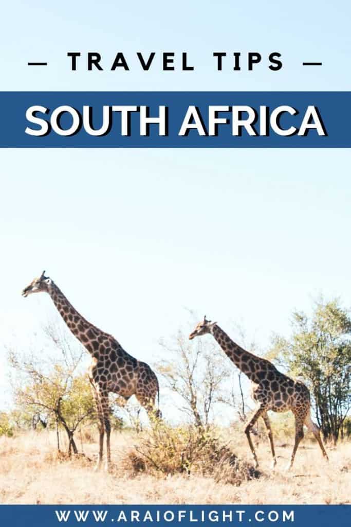 35 [Essential] South Africa Travel Tips For Your First Trip In 2024 ...