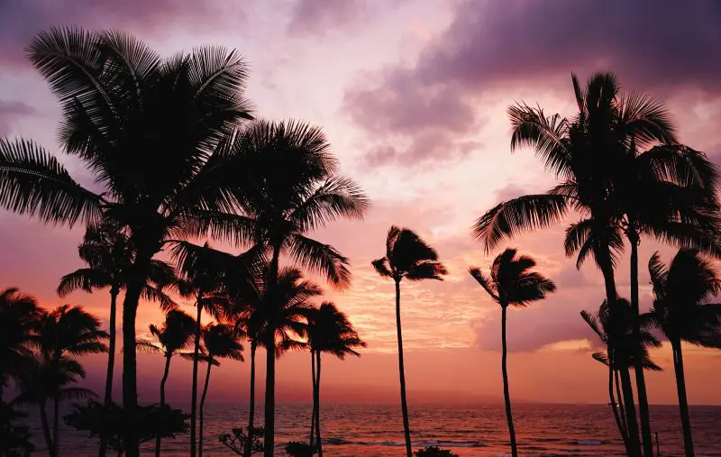 Beautiful pink purple sunset affordable islands to visit