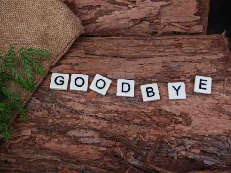 125 Ways To Say GOODBYE In Different Languages WITH Pronunciation 