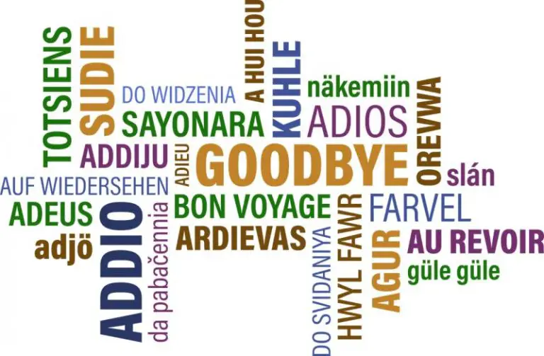 125 Ways To Say GOODBYE In Different Languages WITH Pronunciation 