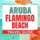 Vacation in Aruba Flamingo Beach Renaissance Island Guide
