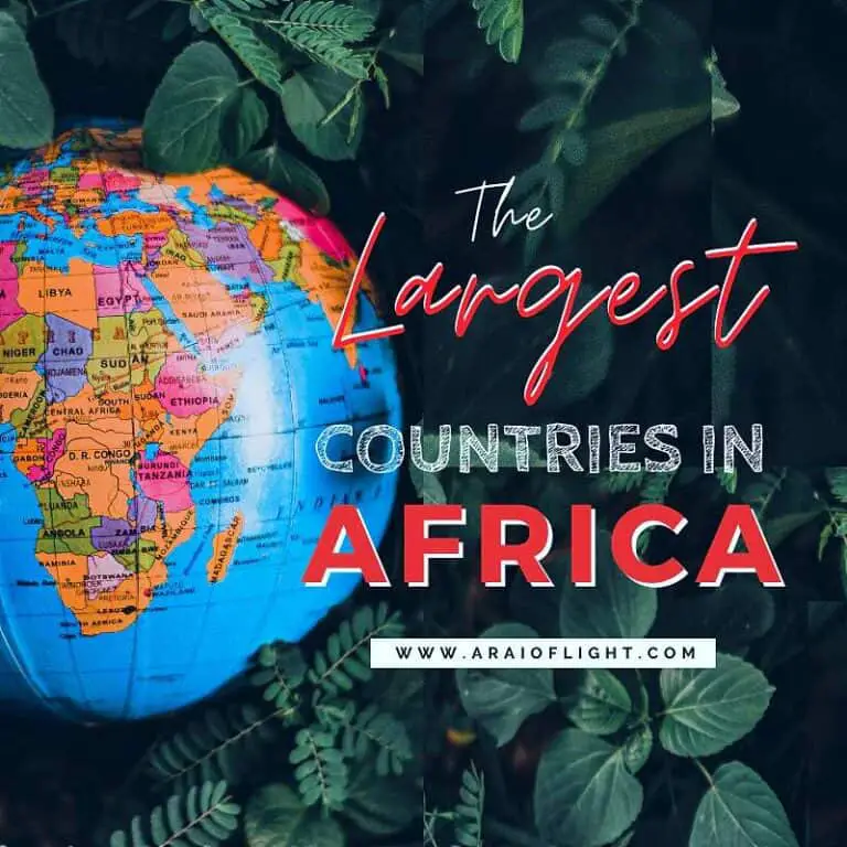 Revealed The LARGEST Country In Africa 2024 Ranked By Size   Largest Country In Africa Large Countries 768x768 