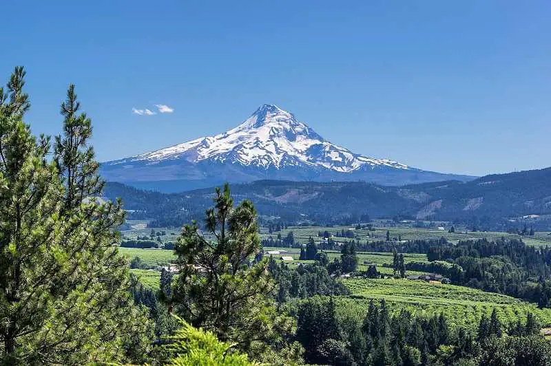 Mount Hood road trip Portland to San Francisco