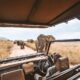 best African safari in Africa